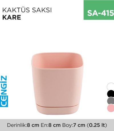 KAKTÜS SAKSI KARE (0.25 LT)