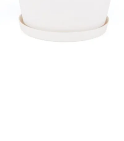 YALI SAKSI TABAK NO:4 (YT04)