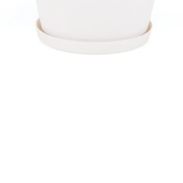 YALI SAKSI TABAK NO:4 (YT04)